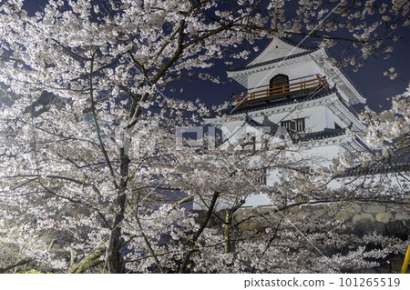 Shiroishi Castle surrounded by cherry blossoms 101265519