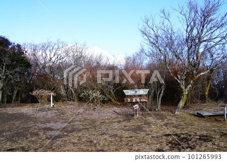 南足柄市矢倉岳峰會 101265993