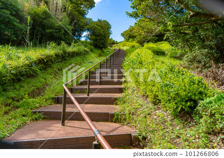 小野岳茶樹階梯風光 小野岳茶樹階梯風光 101266806