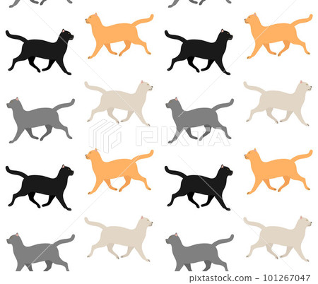 Vector seamless pattern of different color cat 101267047