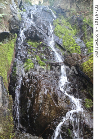 塔的瀑布 101267232