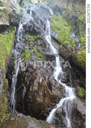 Waterfall of the tower 101267239
