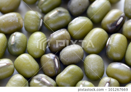 綠豆 綠豆 101267669