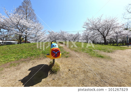 Johoku Park in spring 101267829