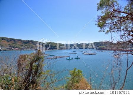 《三重縣》鳥羽市浦村町珍珠路阿甦之浦大橋生浦灣 《三重縣》鳥羽市浦村町珍珠路阿甦之浦大橋生浦灣 101267931