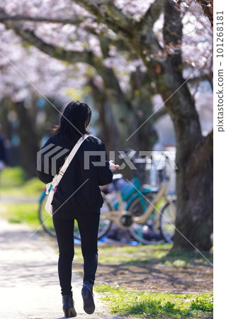 邊走邊看櫻花的女人 邊走邊看櫻花的女人 101268181