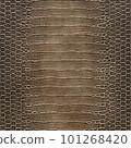 Genuine crocodile belly leather. Brown crocodile skin texture for background. 3D-rendering 101268420