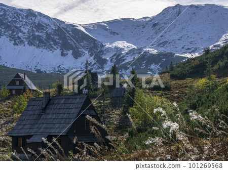 Gasienicowa Valley in autumn. Tatra Mountains. 101269568
