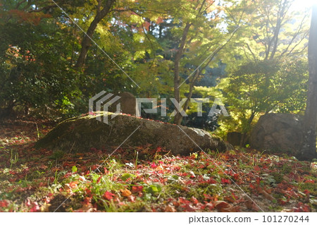 Arima Onsen/Autumn Leaves Arima Onsen/Autumn Leaves 101270244