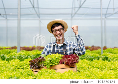 Young man smart farmer smiling success and hoding organic hydroponic vegetable in basket to management preparing export to sell Young man smart farmer smiling success and hoding organic hydroponic vegetable in basket to management preparing export to sell 101270424
