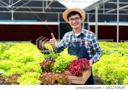 Young man smart farmer smiling success and hoding organic hydroponic vegetable in basket to management preparing export to sell Young man smart farmer smiling success and hoding organic hydroponic vegetable in basket to management preparing export to sell 101270426