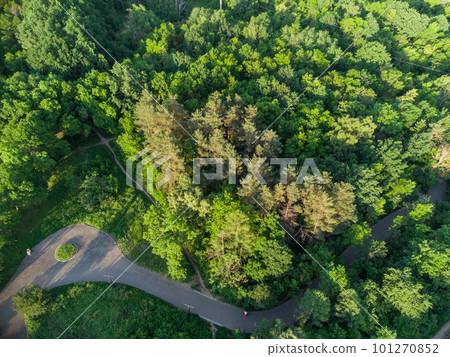 Green vivid trees greenery in city park aerial Green vivid trees greenery in city park aerial 101270852