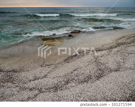 Shell coast of the Caspian Sea. 101271594