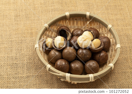 In-shell macadamia nuts in a strainer lined with linen In-shell macadamia nuts in a strainer lined with linen 101272052