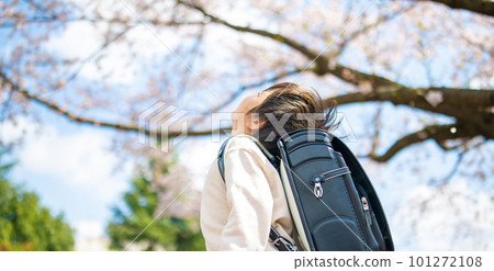 Elementary school student Elementary school student 101272108