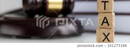 Tax word collected of wooden blocks letters, tax-filling 101273386