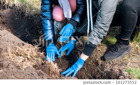 Volunteers planting trees in nature Volunteers planting trees in nature 101273552