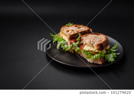 Delicious caprese sandwich with grilled toast, mozzarella, lettuce and tomatoes 101274620