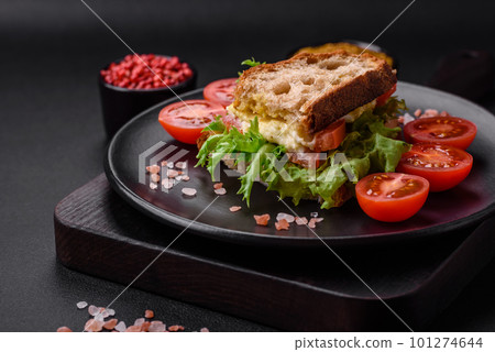 Delicious caprese sandwich with grilled toast, mozzarella, lettuce and tomatoes 101274644
