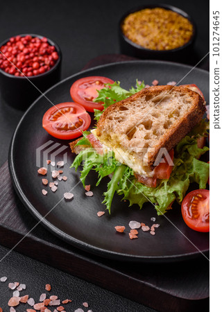 Delicious caprese sandwich with grilled toast, mozzarella, lettuce and tomatoes 101274645