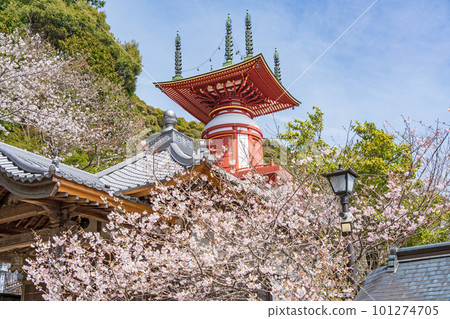 【23號不動所】春藥王寺、朝聖塔【四國88處】 101274705
