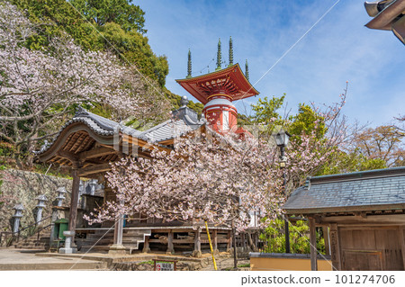 【23號不動所】春藥王寺、朝聖塔【四國88處】 【23號不動所】春藥王寺、朝聖塔【四國88處】 101274706