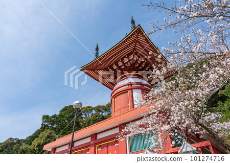 [No. 23 Fudasho] Spring Yakuoji Temple, Pilgrimage Tower [88 places in Shikoku] 101274716