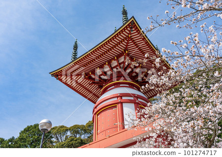 [No. 23 Fudasho] Spring Yakuoji Temple, Pilgrimage Tower [88 places in Shikoku] 101274717