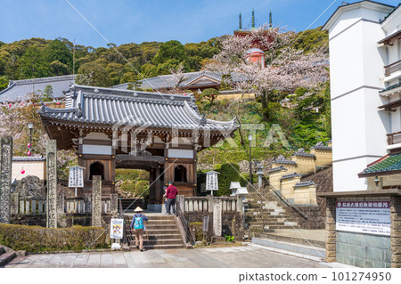 [No. 23 Fudasho] Spring Yakuoji Temple Niomon [Shikoku 88 places] 101274950
