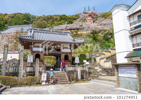 [No. 23 Fudasho] Spring Yakuoji Temple Niomon [Shikoku 88 places] 101274951