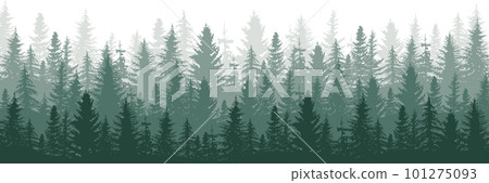 針葉林全景景觀的矢量圖解。森林的景色。 101275093
