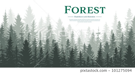 Vector illustration of panoramic landscape of coniferous forest. A view of the forest. 101275094