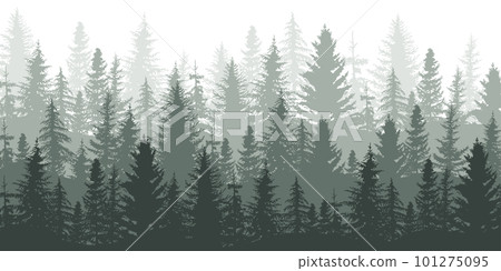 Vector illustration of panoramic landscape of coniferous forest. A view of the forest. 101275095