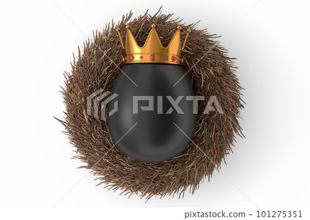 Farm black egg with gold royal king crown in bird nest on white background 101275351