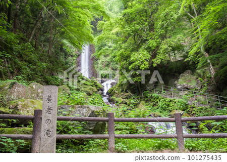 A waterfall that flows through fresh green [Yoro Falls] 101275435