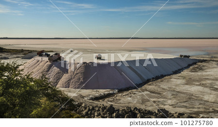 Trucks unloading raw salt bulk, Salinas Grandes de Hidalgo, La Pampa, Argentina. 101275780