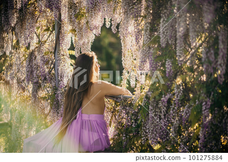 Woman wisteria lilac dress. Thoughtful happy mature woman in purple dress surrounded by chinese wisteria 101275884