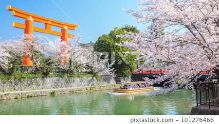 Spring Kyoto Spring Kyoto 101276466