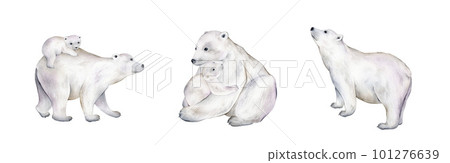 Watercolor illustration with a cute polar bear. Cute winter animal, wildlife, illustration with bear. Adorable wild antarctic mammal. Set, clipart Watercolor illustration with a cute polar bear. Cute winter animal, wildlife, illustration with bear. Adorable wild antarctic mammal. Set, clipart 101276639
