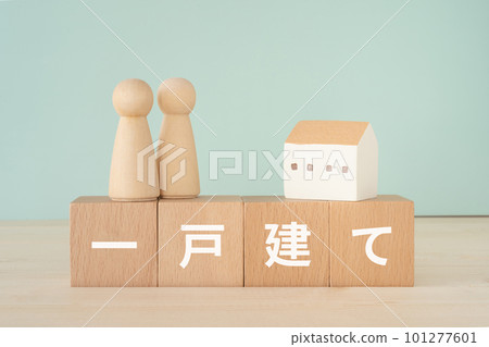 A block, a doll and a house written as a detached house 101277601