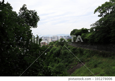 在森林深處看到的鹿兒島風景 101278006