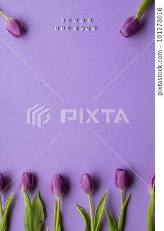 Spring tulip and text Happy Birhday on english laid out of multi-colored cube on violet background Spring tulip and text Happy Birhday on english laid out of multi-colored cube on violet background 101278016