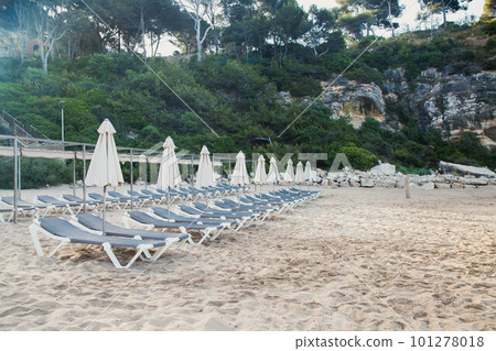 Scenic view to a chaise lounges and umbrellas on the sandy beach without people Scenic view to a chaise lounges and umbrellas on the sandy beach without people 101278018