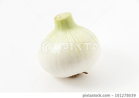New onions 101278039