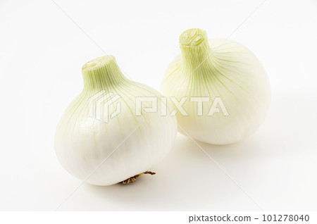 New onions 101278040