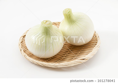 新洋蔥 101278041