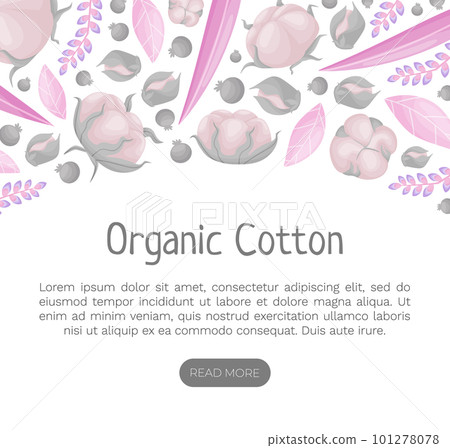 Cotton Plant Banner Design with Fluffy Organic Bud Vector Template Cotton Plant Banner Design with Fluffy Organic Bud Vector Template 101278078