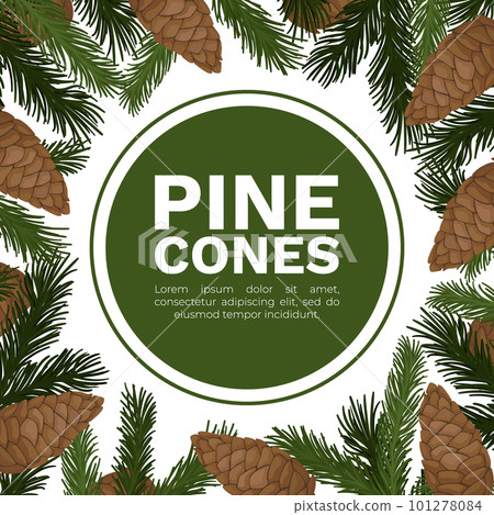 Pine Cone Banner Design with Needle Tree Branch Vector Template 101278084