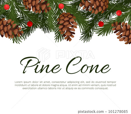 Pine Cone Banner Design with Needle Tree Branch Vector Template 101278085