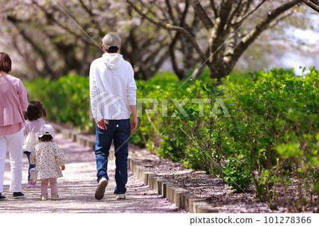 散步在櫻花公園的父母和孩子 101278366